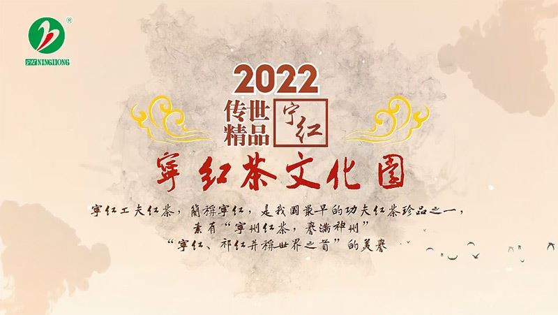 宁红集团2022年宣传片
